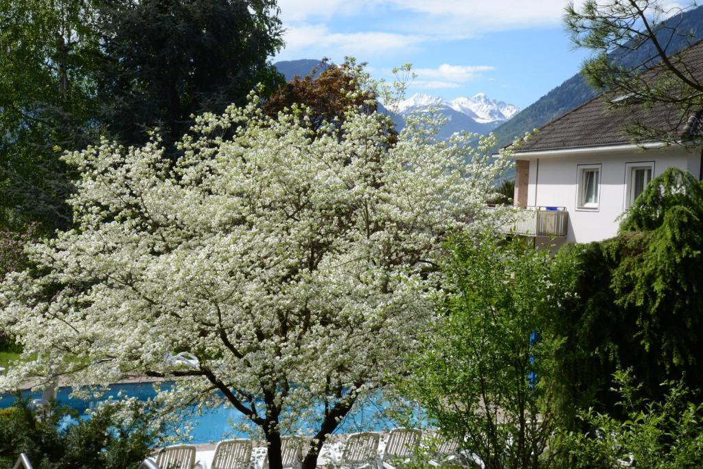 Hotel Tannerhof Merano Eksteriør bilde